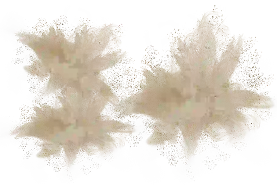 Dust Explosion